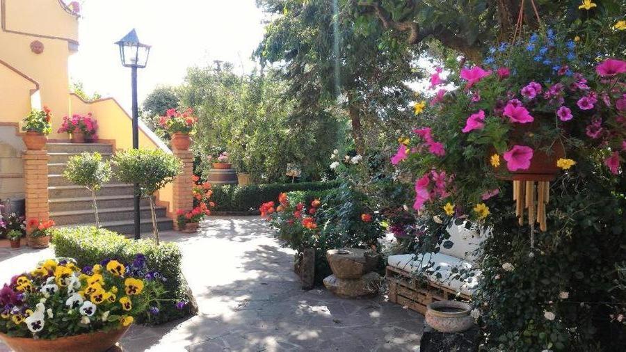 Bed And Breakfast Val Di Lupa Castellina Marittima Zewnętrze zdjęcie